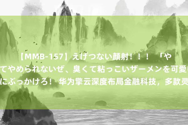 【MMB-157】えげつない顔射！！！ 「やめて！」と言われたってやめられないぜ、臭くて粘っこいザーメンを可愛いお顔にぶっかけろ！ 华为擎云深度布局金融科技，多款灵敏金融处罚决策护航数字化转型