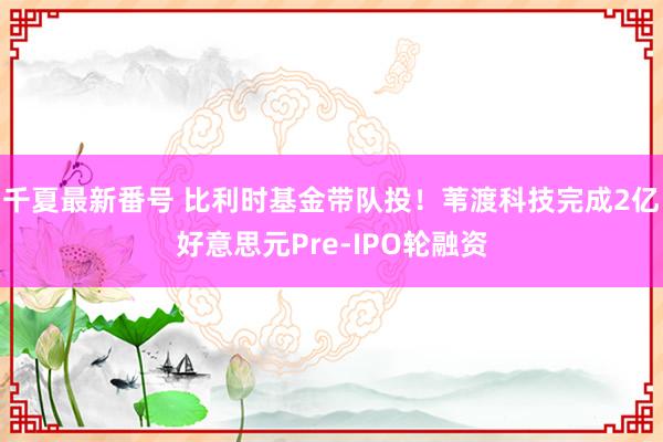 千夏最新番号 比利时基金带队投！苇渡科技完成2亿好意思元Pre-IPO轮融资