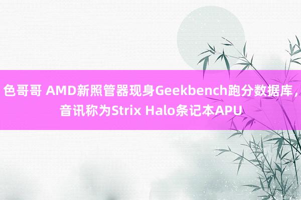 色哥哥 AMD新照管器现身Geekbench跑分数据库，音讯称为Strix Halo条记本APU