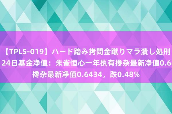 【TPLS-019】ハード踏み拷問金蹴りマラ潰し処刑 JUN女王様 7月24日基金净值：朱雀恒心一年执有搀杂最新净值0.6434，跌0.48%