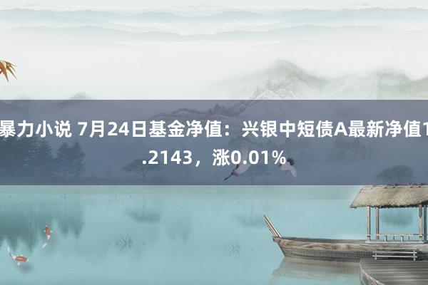 暴力小说 7月24日基金净值：兴银中短债A最新净值1.2143，涨0.01%