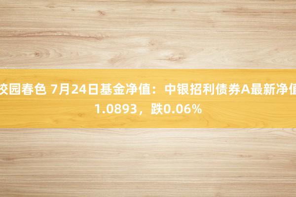 校园春色 7月24日基金净值：中银招利债券A最新净值1.0893，跌0.06%