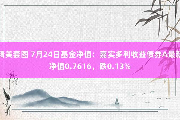 精美套图 7月24日基金净值：嘉实多利收益债券A最新净值0.7616，跌0.13%