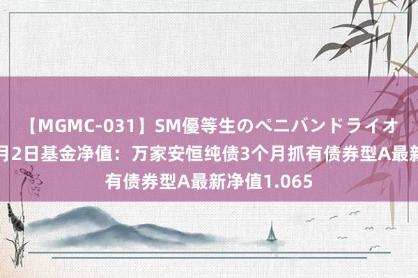 【MGMC-031】SM優等生のペニバンドライオーガズム 8月2日基金净值：万家安恒纯债3个月抓有债券型A最新净值1.065