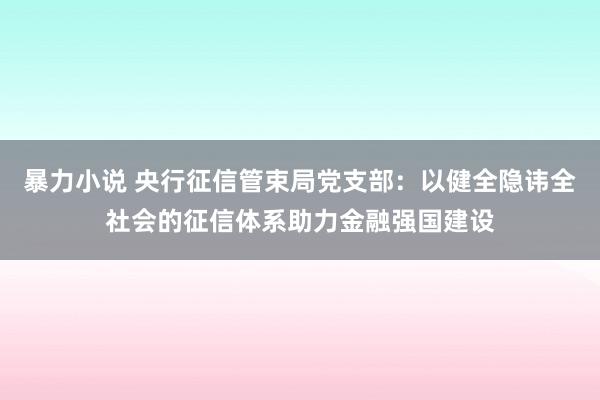 暴力小说 央行征信管束局党支部：以健全隐讳全社会的征信体系助力金融强国建设