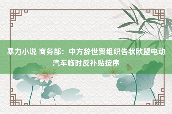 暴力小说 商务部：中方辞世贸组织告状欧盟电动汽车临时反补贴按序