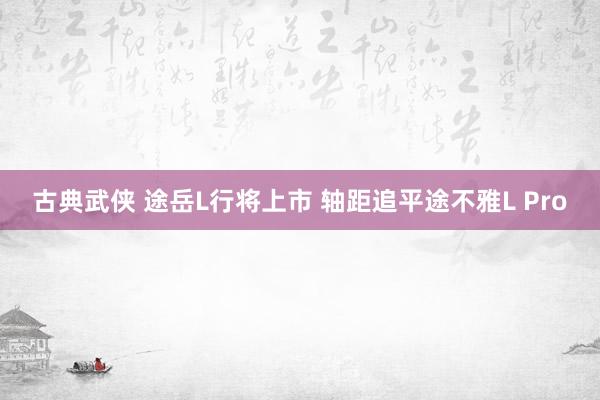 古典武侠 途岳L行将上市 轴距追平途不雅L Pro