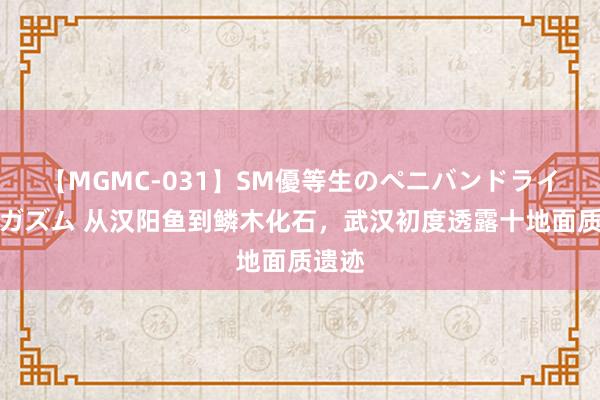 【MGMC-031】SM優等生のペニバンドライオーガズム 从汉阳鱼到鳞木化石，武汉初度透露十地面质遗迹