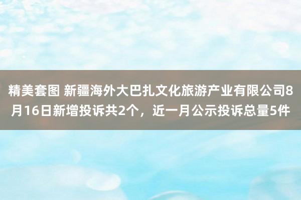 精美套图 新疆海外大巴扎文化旅游产业有限公司8月16日新增投诉共2个，近一月公示投诉总量5件