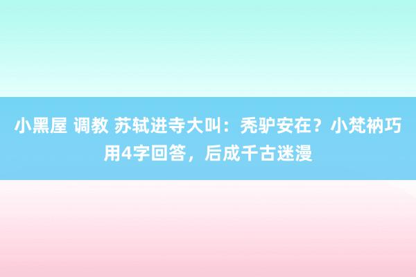 小黑屋 调教 苏轼进寺大叫：秃驴安在？小梵衲巧用4字回答，后成千古迷漫