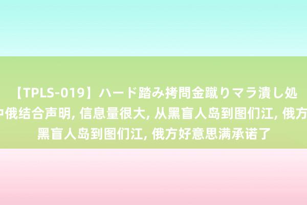 【TPLS-019】ハード踏み拷問金蹴りマラ潰し処刑 JUN女王様 中俄结合声明, 信息量很大, 从黑盲人岛到图们江, 俄方好意思满承诺了