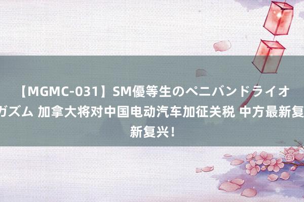 【MGMC-031】SM優等生のペニバンドライオーガズム 加拿大将对中国电动汽车加征关税 中方最新复兴！